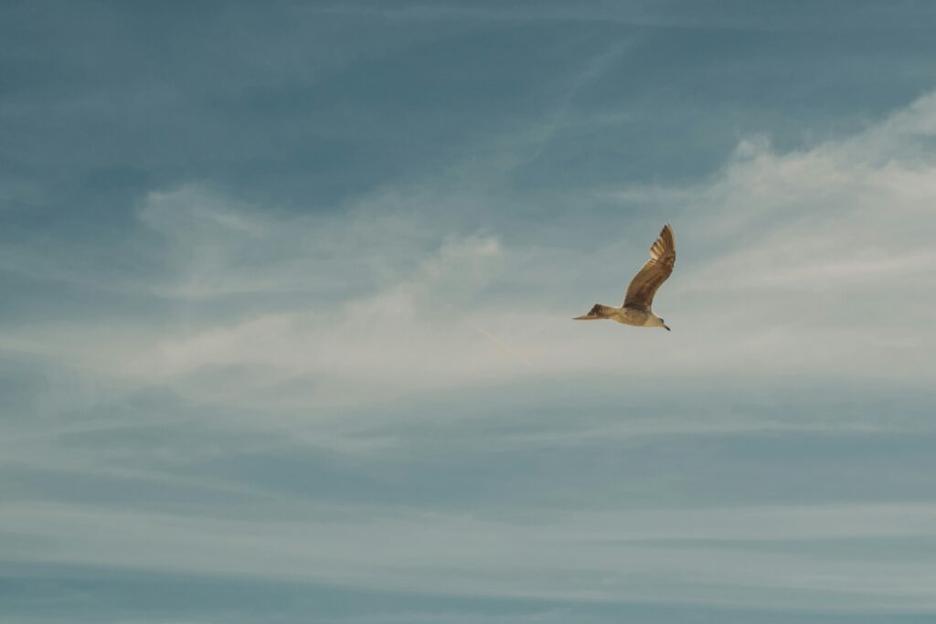 潜在意識と顕在意識の違いとは?仕組み・影響・コーチングとの関係をわかりやすく解説